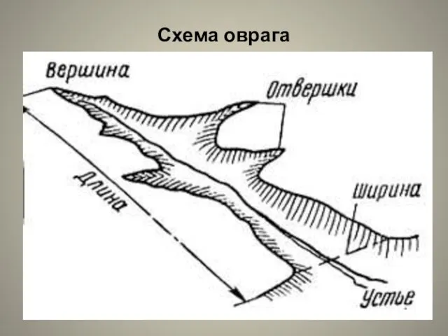 Схема оврага