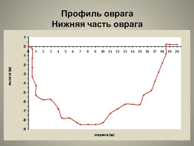 Профиль оврага Нижняя часть оврага