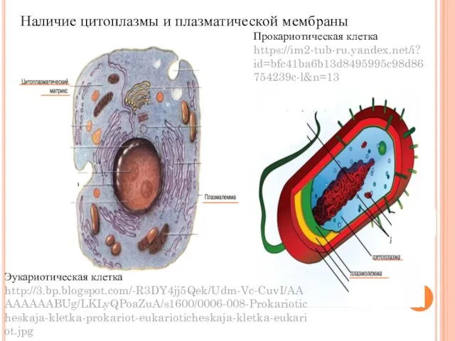 Эукариотическая клетка http://3.bp.blogspot.com/-R3DY4jj5Qek/Udm-Vc-CuvI/AAAAAAAABUg/LKLyQPoaZuA/s1600/0006-008-Prokarioticheskaja-kletka-prokariot-eukarioticheskaja-kletka-eukariot.jpg Прокариотическая клетка https://im2-tub-ru.yandex.net/i?id=bfc41ba6b13d8495995c98d86754239c-l&n=13 Наличие цитоплазмы и плазматической мембраны