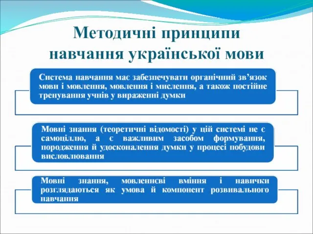 Методичні принципи навчання української мови