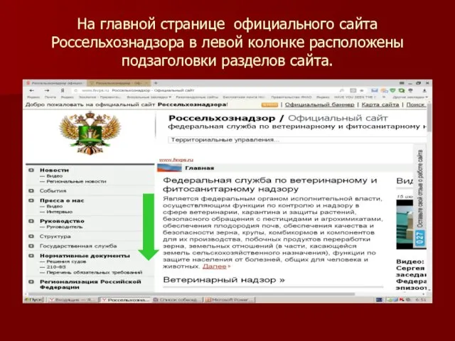 На главной странице официального сайта Россельхознадзора в левой колонке расположены подзаголовки разделов сайта.