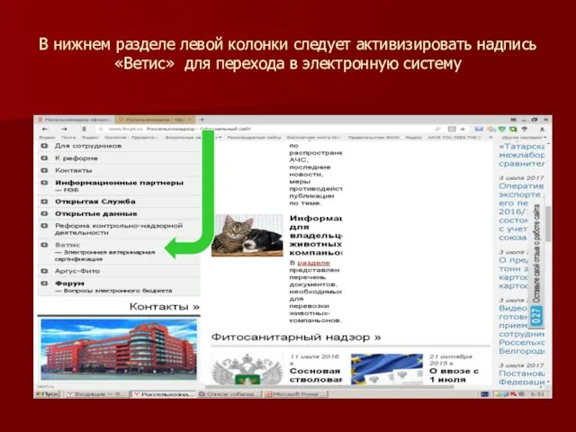 В нижнем разделе левой колонки следует активизировать надпись «Ветис» для перехода в электронную систему