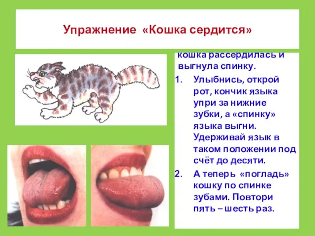 Давай покажем, как кошка рассердилась и выгнула спинку. Улыбнись, открой рот,