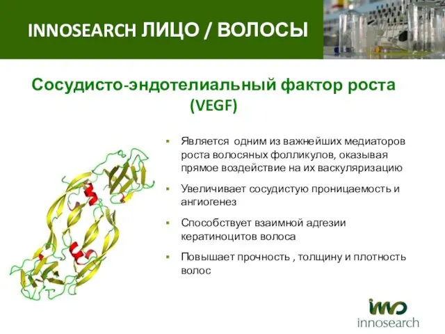 Сосудисто-эндотелиальный фактор роста (VEGF) Является одним из важнейших медиаторов роста волосяных