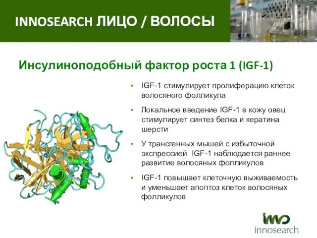 Инсулиноподобный фактор роста 1 (IGF-1) IGF-1 стимулирует пролиферацию клеток волосяного фолликула