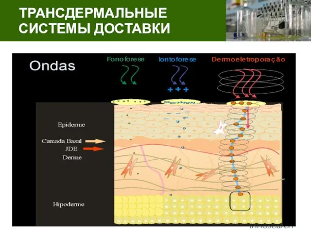 ТРАНСДЕРМАЛЬНЫЕ СИСТЕМЫ ДОСТАВКИ