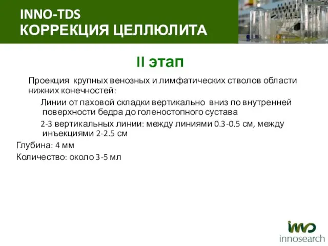 II этап Проекция крупных венозных и лимфатических стволов области нижних конечностей: