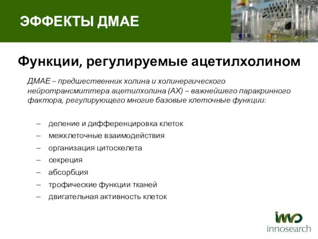 Функции, регулируемые ацетилхолином деление и дифференцировка клеток межклеточные взаимодействия организация цитоскелета