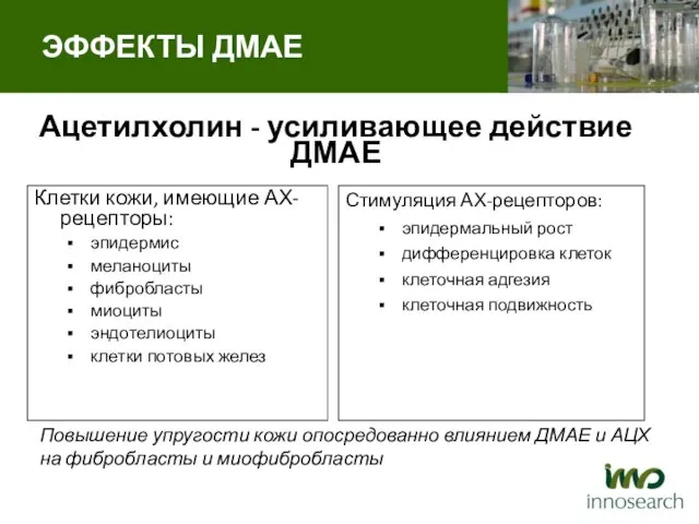 Ацетилхолин - усиливающее действие ДМАЕ Клетки кожи, имеющие АХ- рецепторы: эпидермис