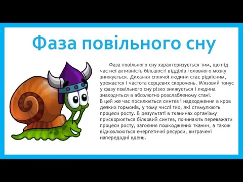 Фаза повільного сну Фаза повільного сну характеризується тим, що під час