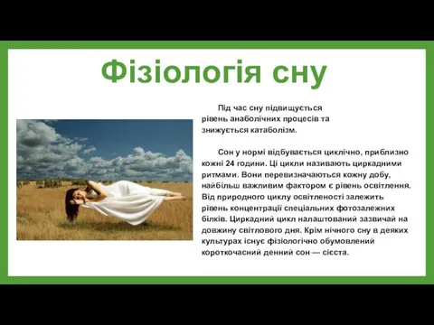 Фізіологія сну Під час сну підвищується рівень анаболічних процесів та знижується