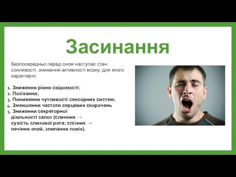 Засинання Безпосередньо перед сном наступає стан сонливості, зниження активності мозку, для