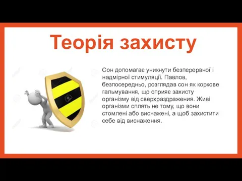 Теорія захисту Сон допомагає уникнути безперервної і надмірної стимуляції. Павлов, безпосередньо,