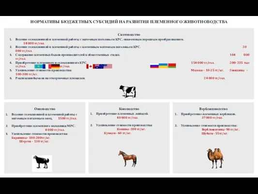 НОРМАТИВЫ БЮДЖЕТНЫХ СУБСИДИЙ НА РАЗВИТИЯ ПЛЕМЕННОГО ЖИВОТНОВОДСТВА