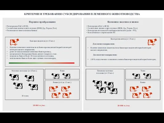 Породное преобразование Маточное поголовье (от 18 мес.) Бык-производитель (от 15 мес.)