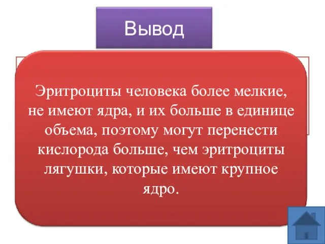 Укажите чем эритроцит человека отличается от эритроцита лягушки. Запишите преимущества, которые имеет эритроцит человека.