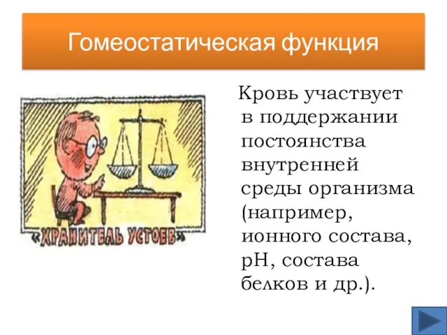 Гомеостатическая функция Кровь участвует в поддержании постоянства внутренней среды организма (например,