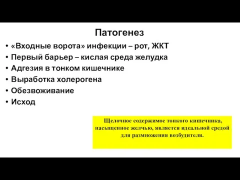 Патогенез «Входные ворота» инфекции – рот, ЖКТ Первый барьер – кислая