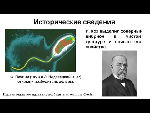 Ф. Пачини (1853) и Э. Недзвецкий (1872) открыли возбудитель холеры. Р.