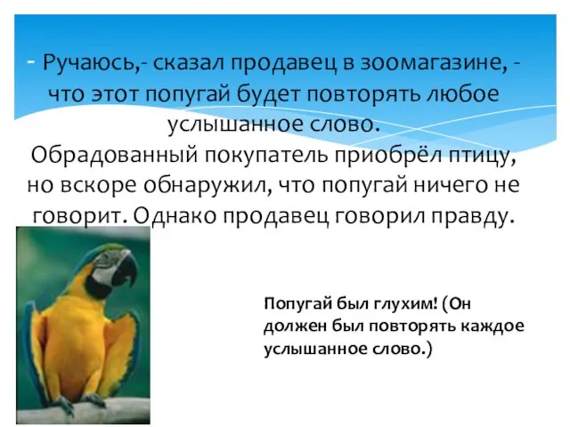 - Ручаюсь,- сказал продавец в зоомагазине, - что этот попугай будет