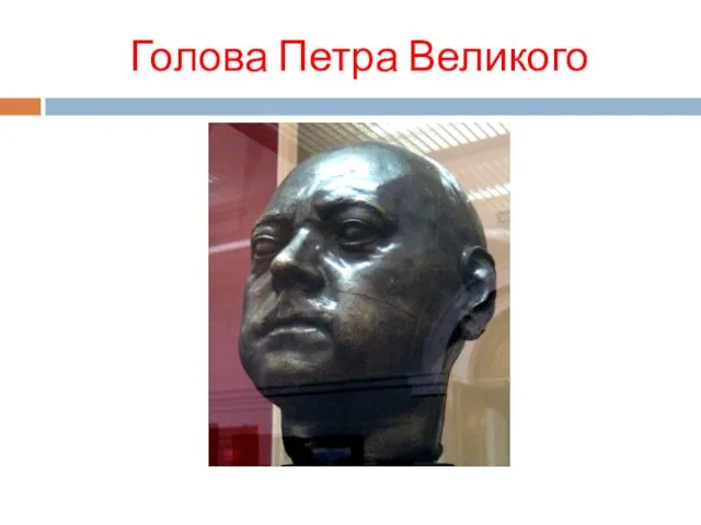 Голова Петра Великого