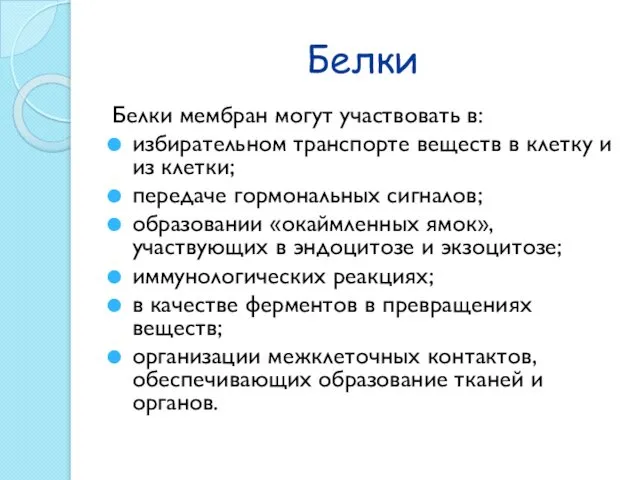 Белки Белки мембран могут участвовать в: избирательном транспорте веществ в клетку