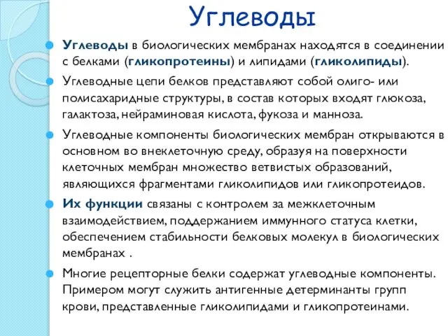 Углеводы Углеводы в биологических мембранах находятся в соединении с белками (гликопротеины)