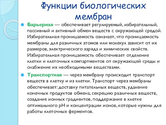 Функции биологических мембран Барьерная — обеспечивает регулируемый, избирательный, пассивный и активный