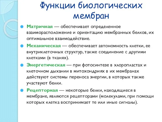 Функции биологических мембран Матричная — обеспечивает определенное взаиморасположение и ориентацию мембранных