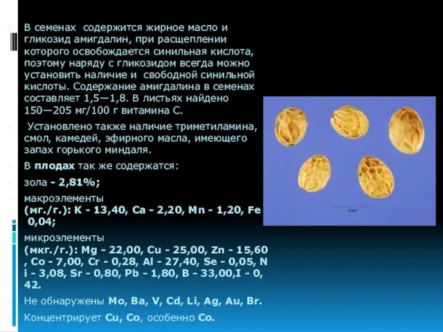 В семенах содержится жирное масло и гликозид амигдалин, при расщеплении которого