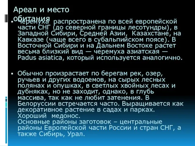 Ареал и место обитания Черемуха распространена по всей европейской части СНГ