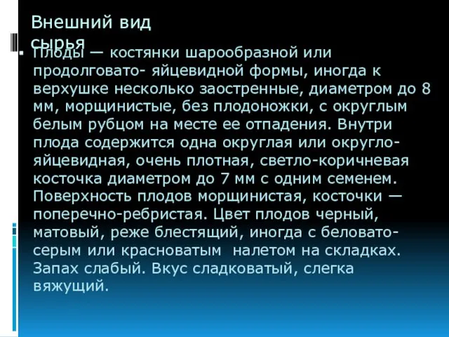 Внешний вид сырья Плоды — костянки шарообразной или продолговато- яйцевидной формы,