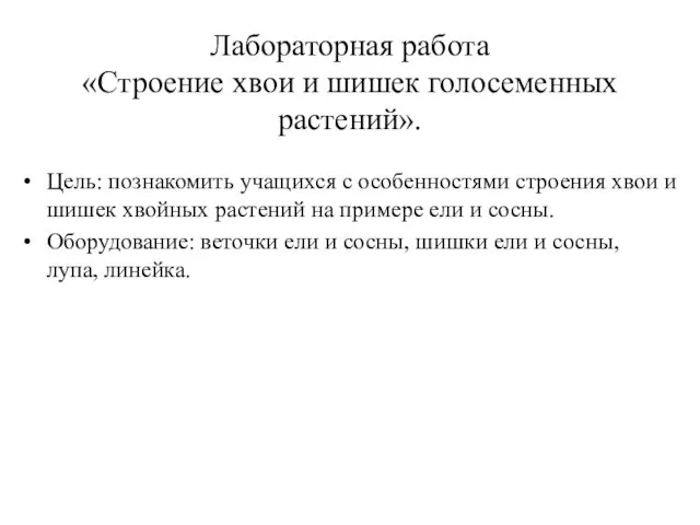 Лабораторная работа «Строение хвои и шишек голосеменных растений». Цель: познакомить учащихся