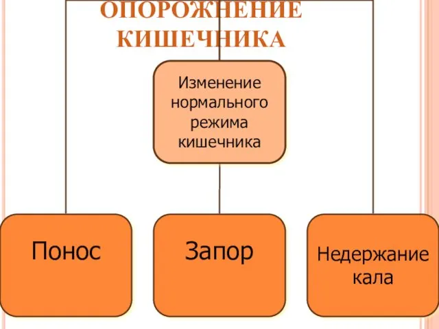 ОПОРОЖНЕНИЕ КИШЕЧНИКА