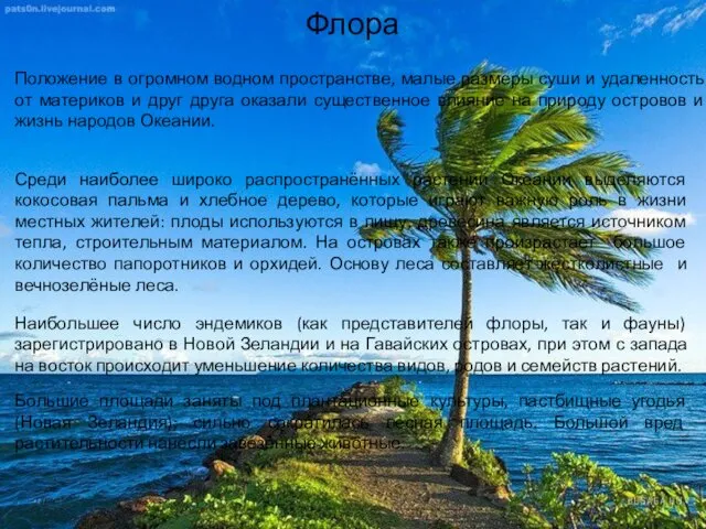 Флора Положение в огромном водном пространстве, малые размеры суши и удаленность