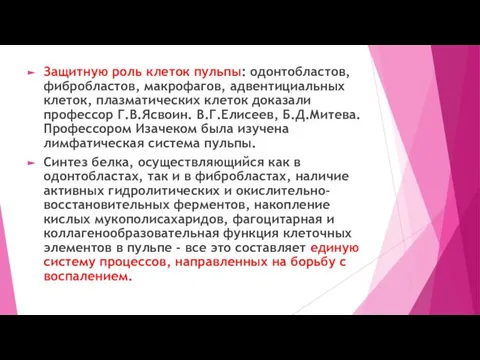 Защитную роль клеток пульпы: одонтобластов, фибробластов, макрофагов, адвентициальных клеток, плазматических клеток