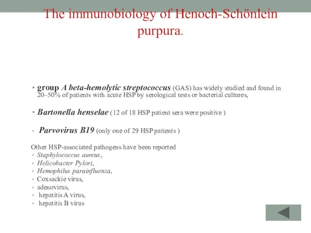 The immunobiology of Henoch-Schönlein purpura. group A beta-hemolytic streptococcus (GAS) has