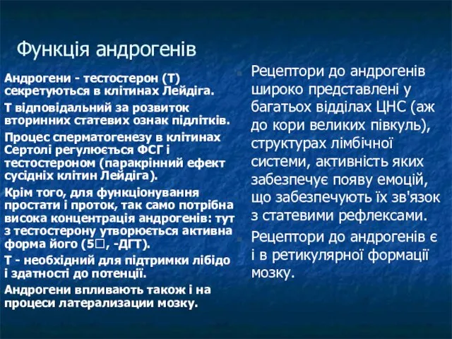 Андрогени - тестостерон (Т) секретуються в клітинах Лейдіга. Т відповідальний за