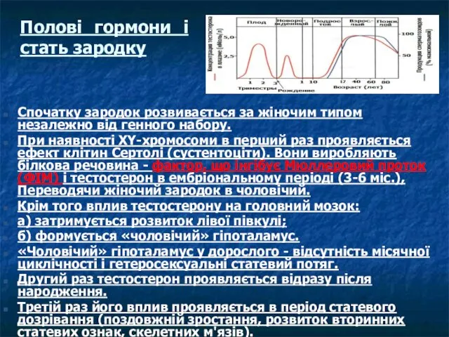 Полові гормони і стать зародку Спочатку зародок розвивається за жіночим типом