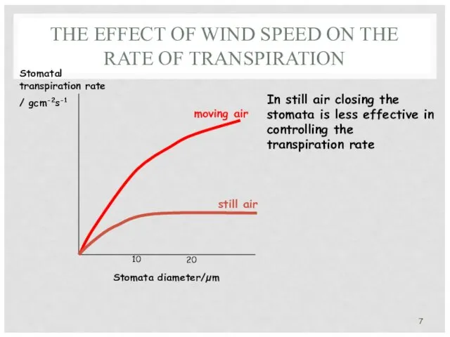 THE EFFECT OF WIND SPEED ON THE RATE OF TRANSPIRATION Stomata