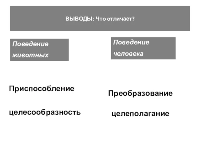 Поведение животных ВЫВОДЫ: Что отличает? Поведение человека Приспособление целесообразность Преобразование целеполагание