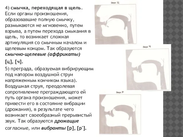 4) смычка, переходящая в щель. Если органы произношения, образовавшие полную смычку,