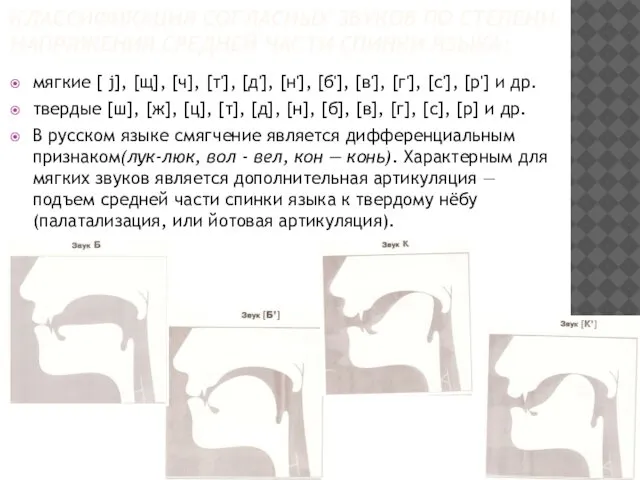 КЛАССИФИКАЦИЯ СОГЛАСНЫХ ЗВУКОВ ПО СТЕПЕНИ НАПРЯЖЕНИЯ СРЕДНЕЙ ЧАСТИ СПИНКИ ЯЗЫКА: мягкие