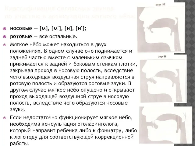 Классификация согласных звуков по участию в артикуляции мягкого нёба: носовые —