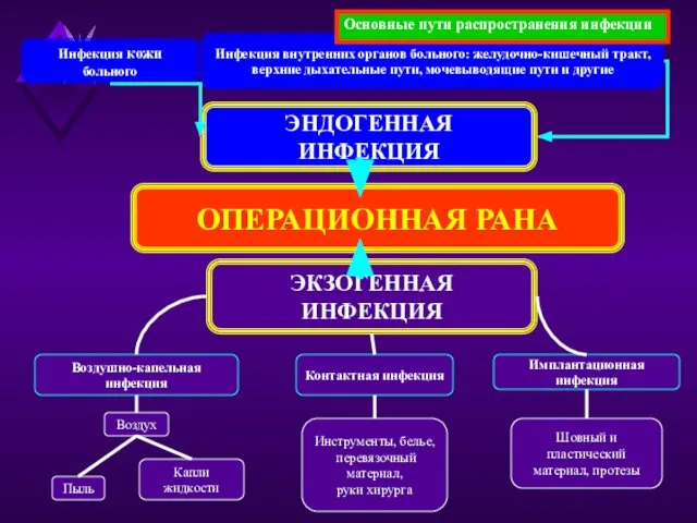 Инфекция кожи больного Инфекция внутренних органов больного: желудочно-кишечный тракт, верхние дыхательные