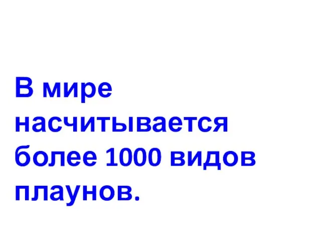 В мире насчитывается около 1000 видов. В Смоленской области встречается около