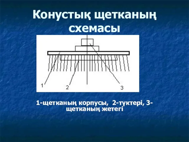 Конустық щетканың схемасы 1-щетканың корпусы, 2-түктері, 3-щетканың жетегі