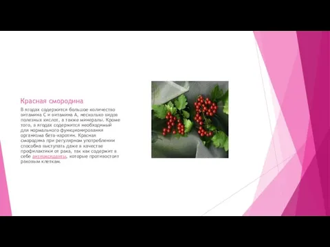 Красная смородина В ягодах содержится большое количество витамина C и витамина