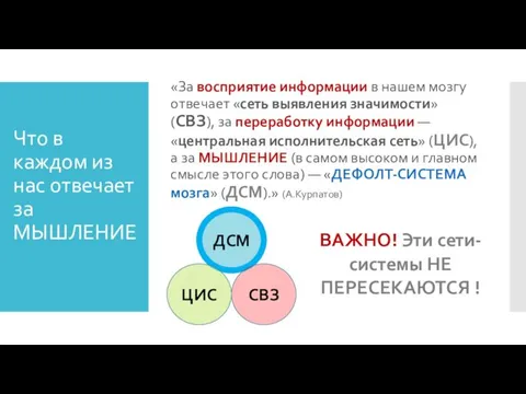 Что в каждом из нас отвечает за МЫШЛЕНИЕ «За восприятие информации