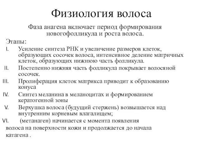 Физиология волоса Фаза анагена включает период формирования новогофолликула и роста волоса.